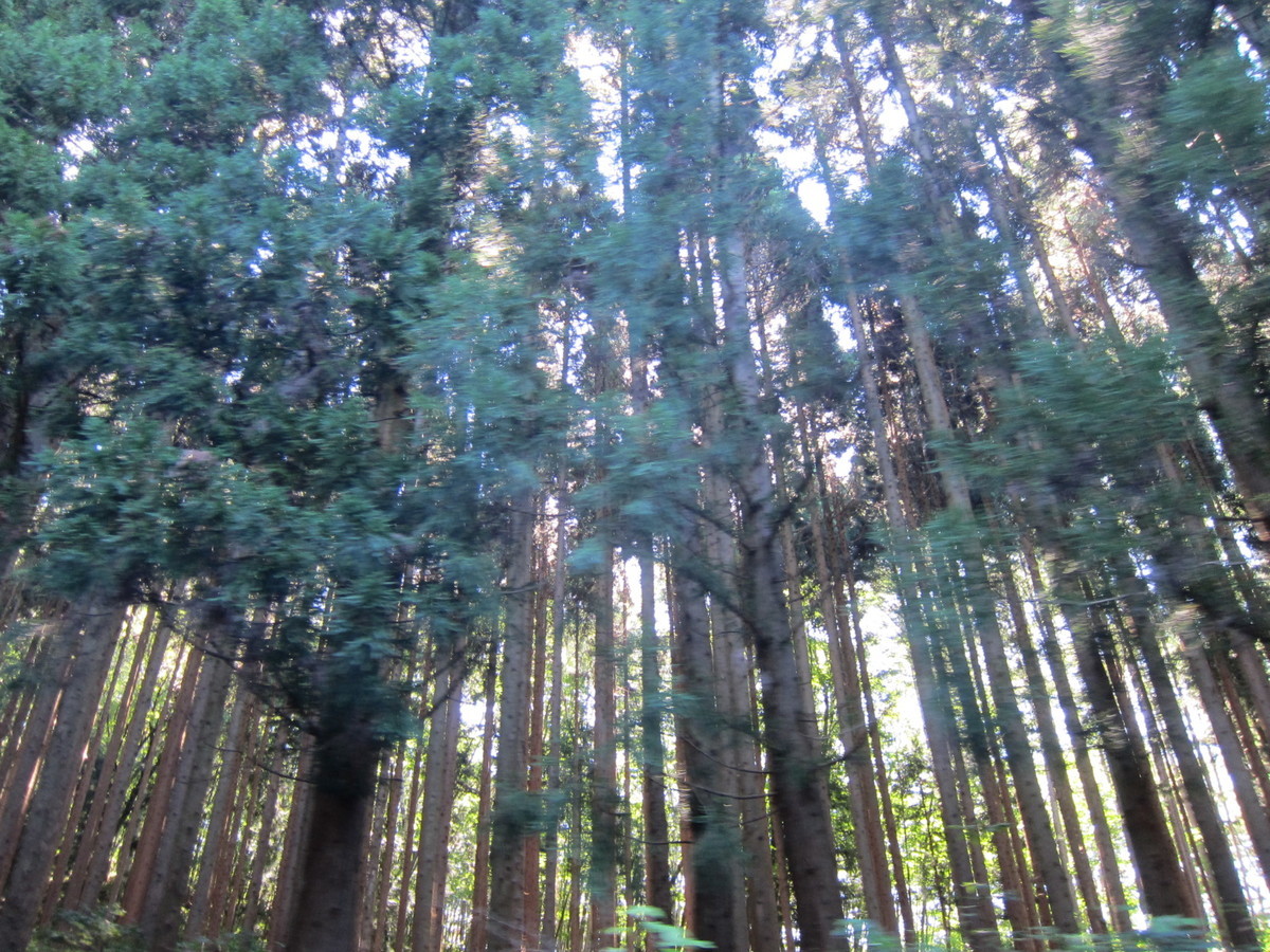 f:id:lupoGTI:20210820133637j:plain