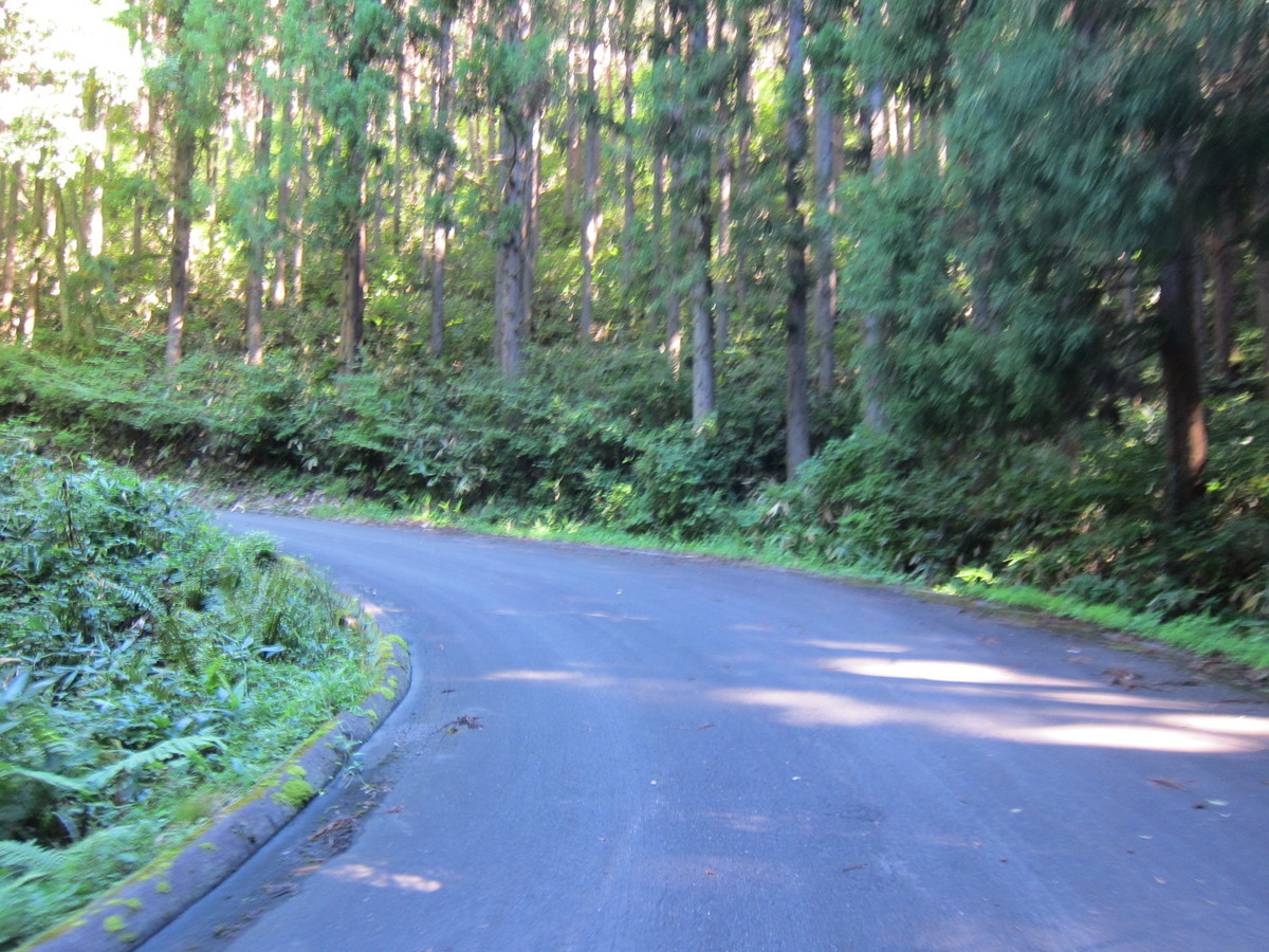 f:id:lupoGTI:20210820133648j:plain