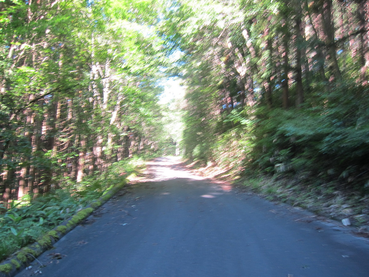 f:id:lupoGTI:20210820133701j:plain