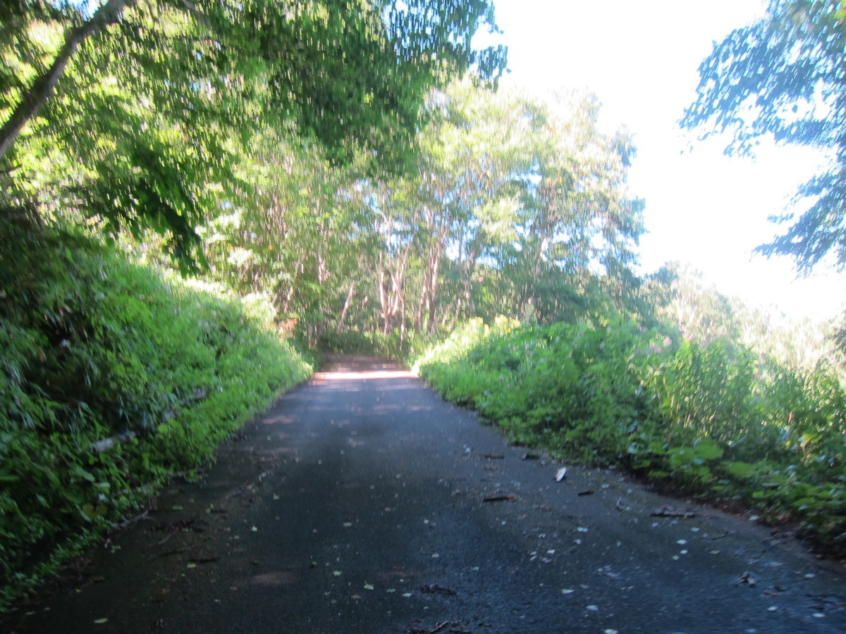 f:id:lupoGTI:20210820133712j:plain