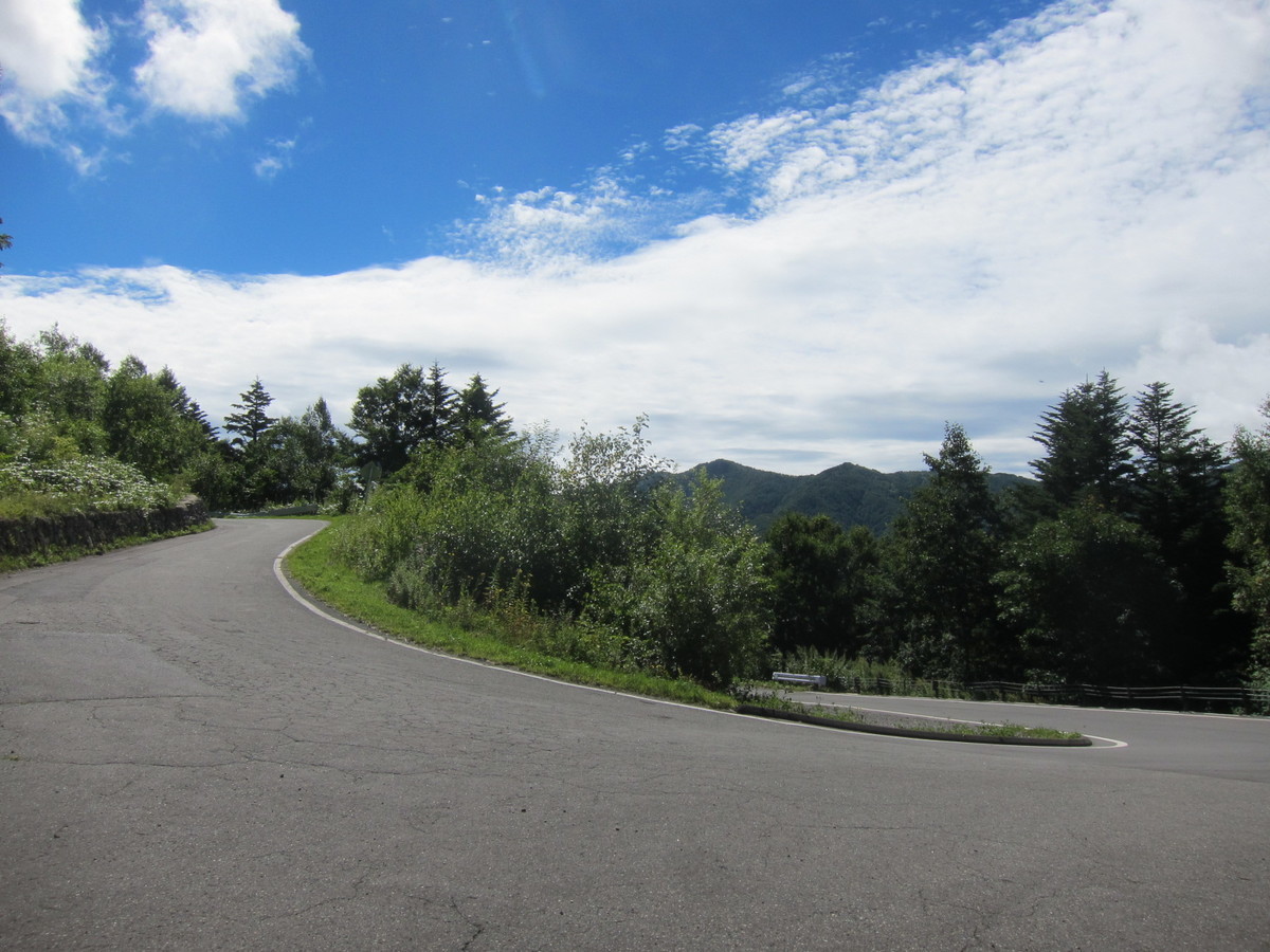 f:id:lupoGTI:20210820133721j:plain