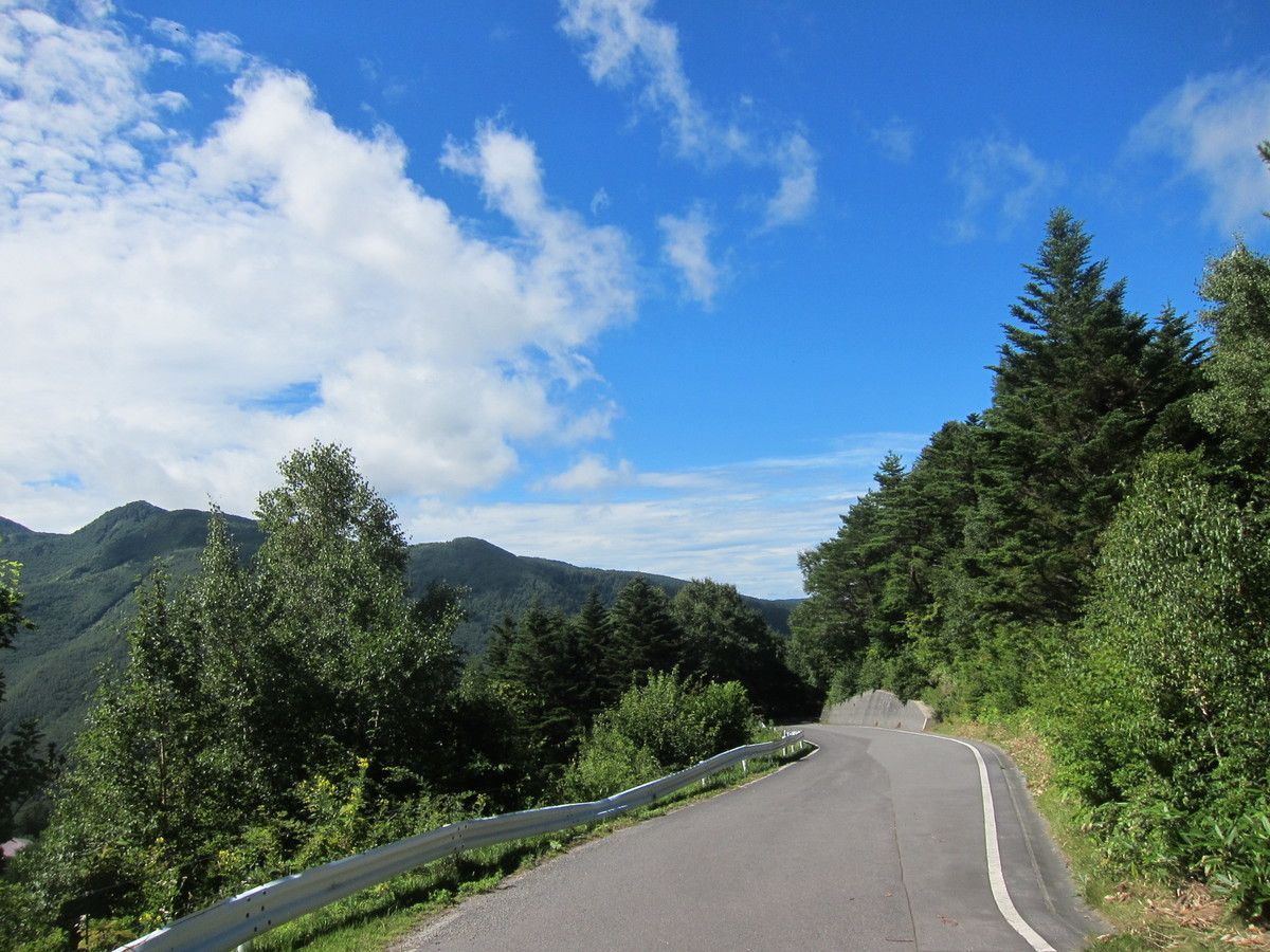 f:id:lupoGTI:20210820133759j:plain