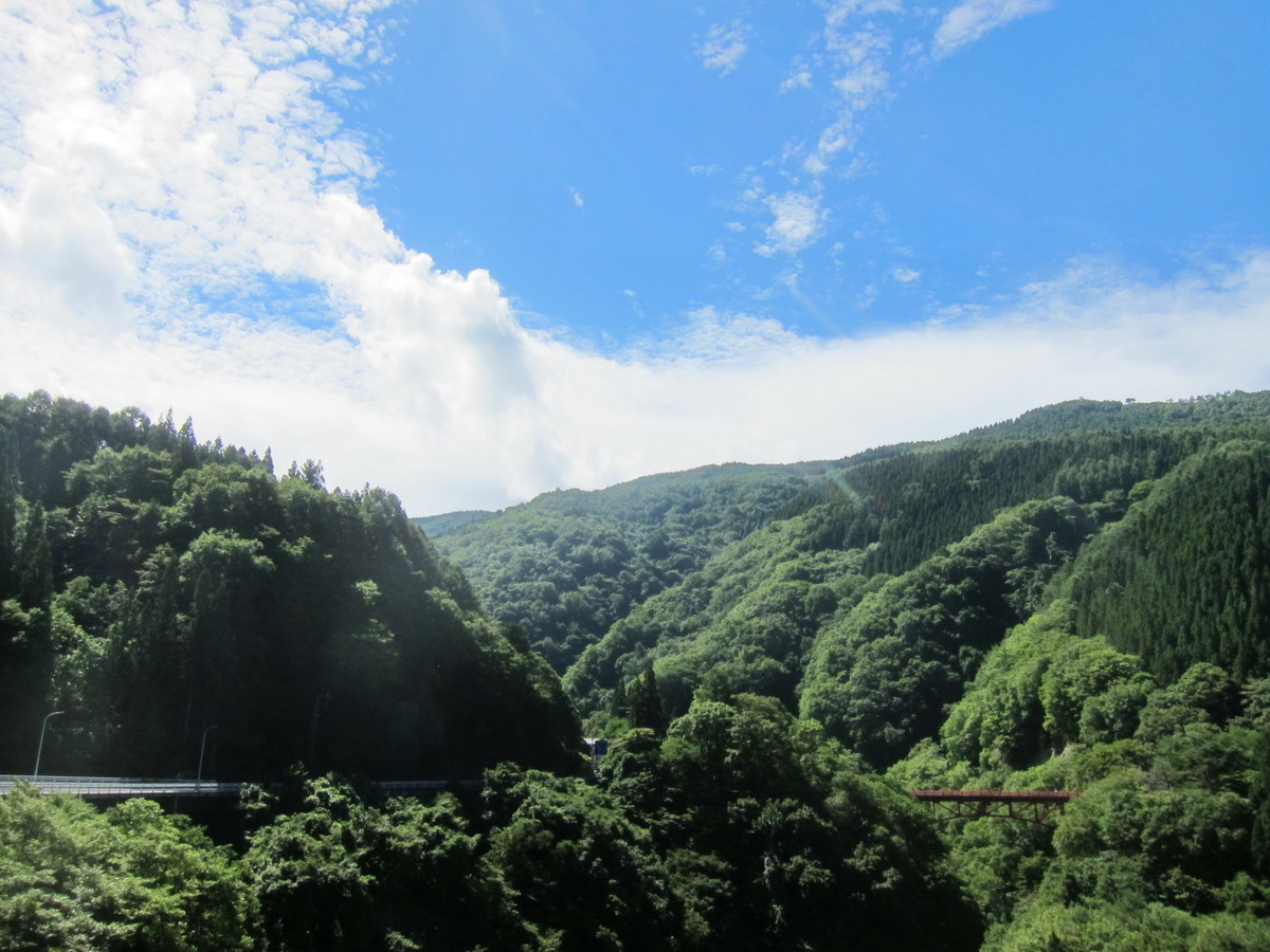 f:id:lupoGTI:20210820133826j:plain