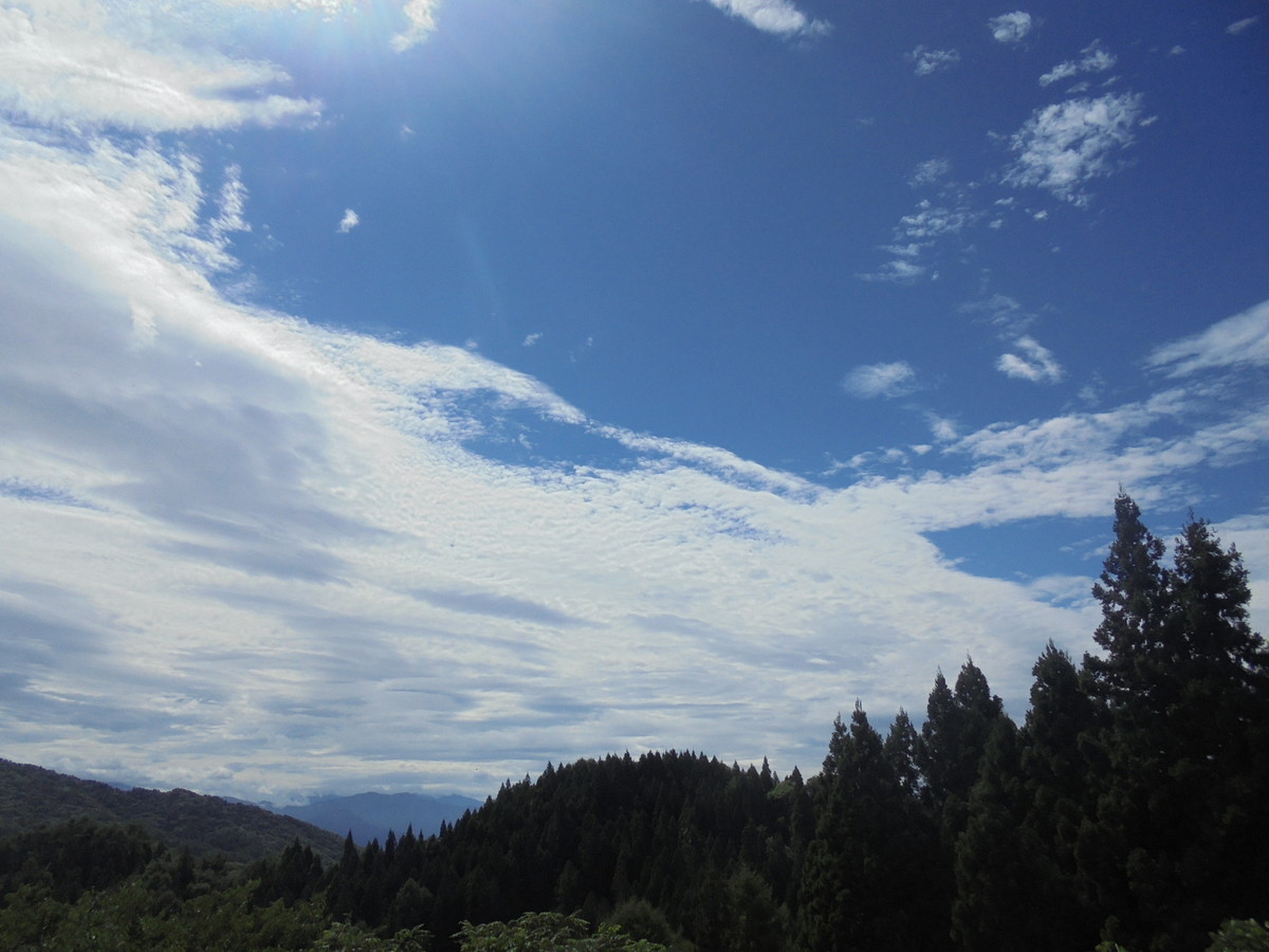 f:id:lupoGTI:20210821141354j:plain