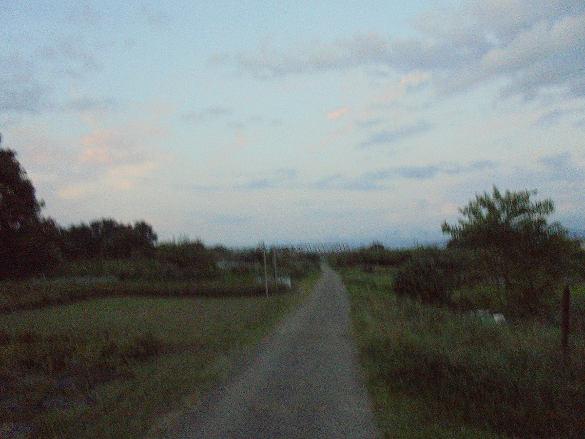 f:id:lupoGTI:20210826211124j:plain