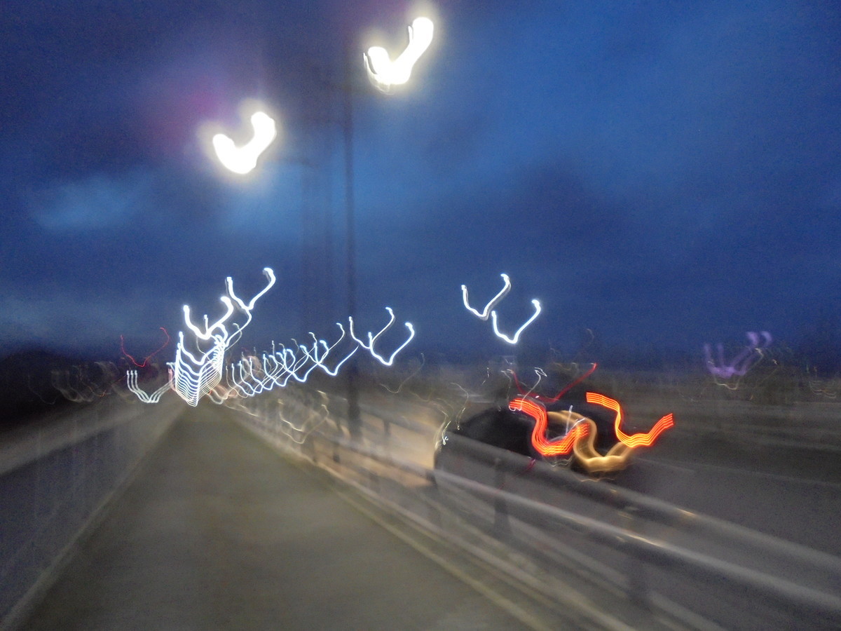 f:id:lupoGTI:20210826211130j:plain