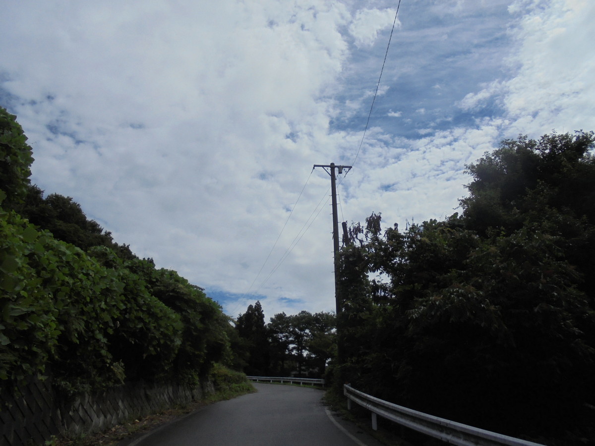 f:id:lupoGTI:20210904155809j:plain