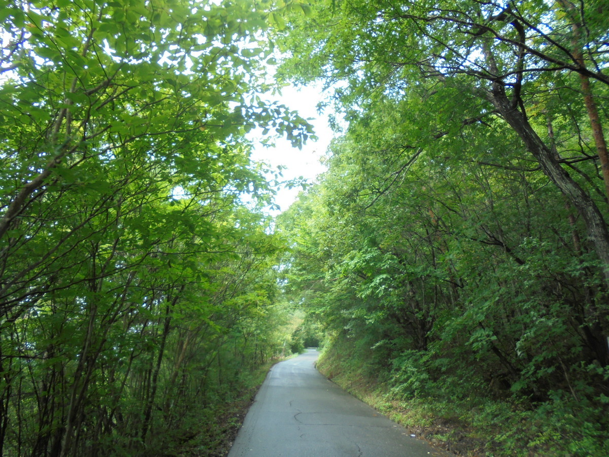 f:id:lupoGTI:20210904155816j:plain