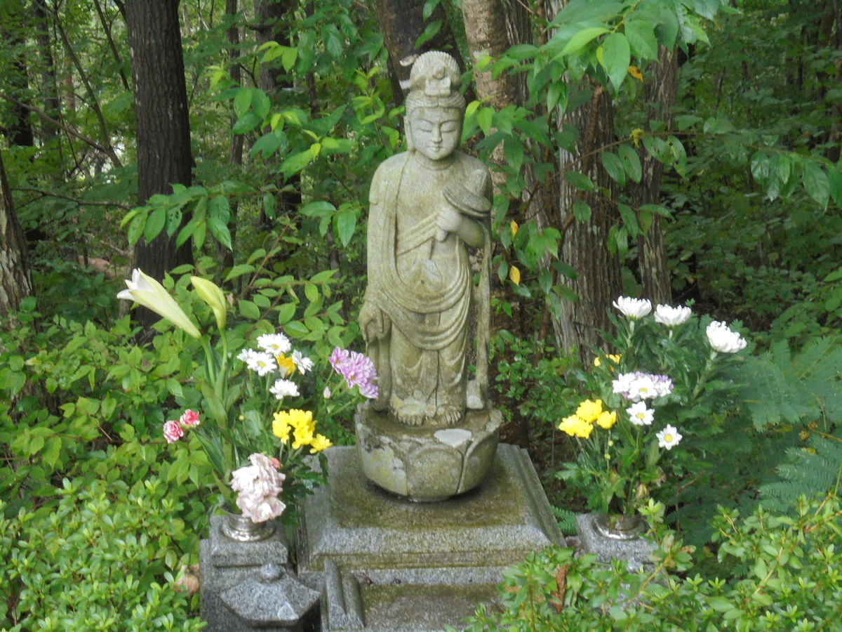 f:id:lupoGTI:20210904155820j:plain