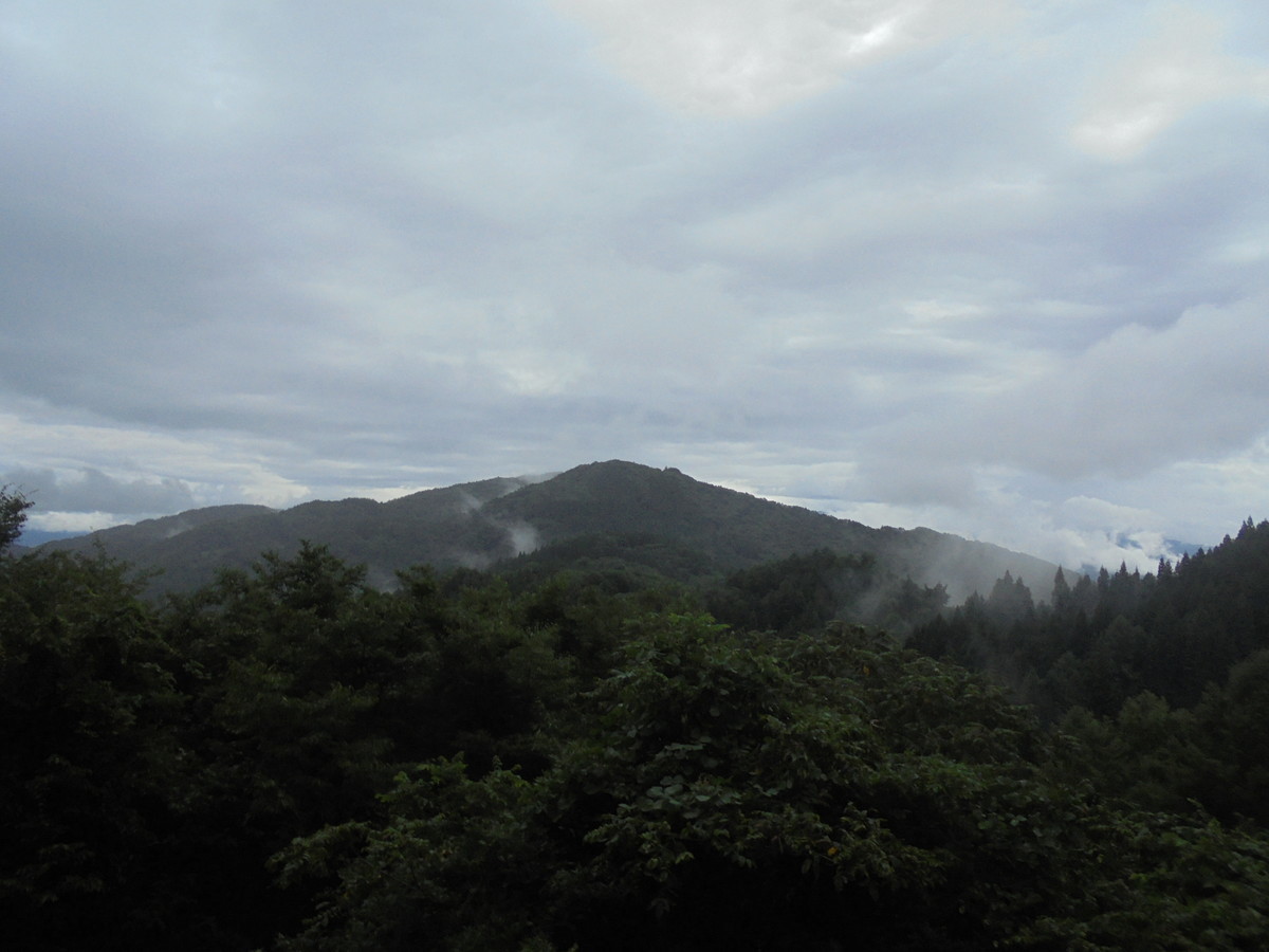 f:id:lupoGTI:20210904155928j:plain