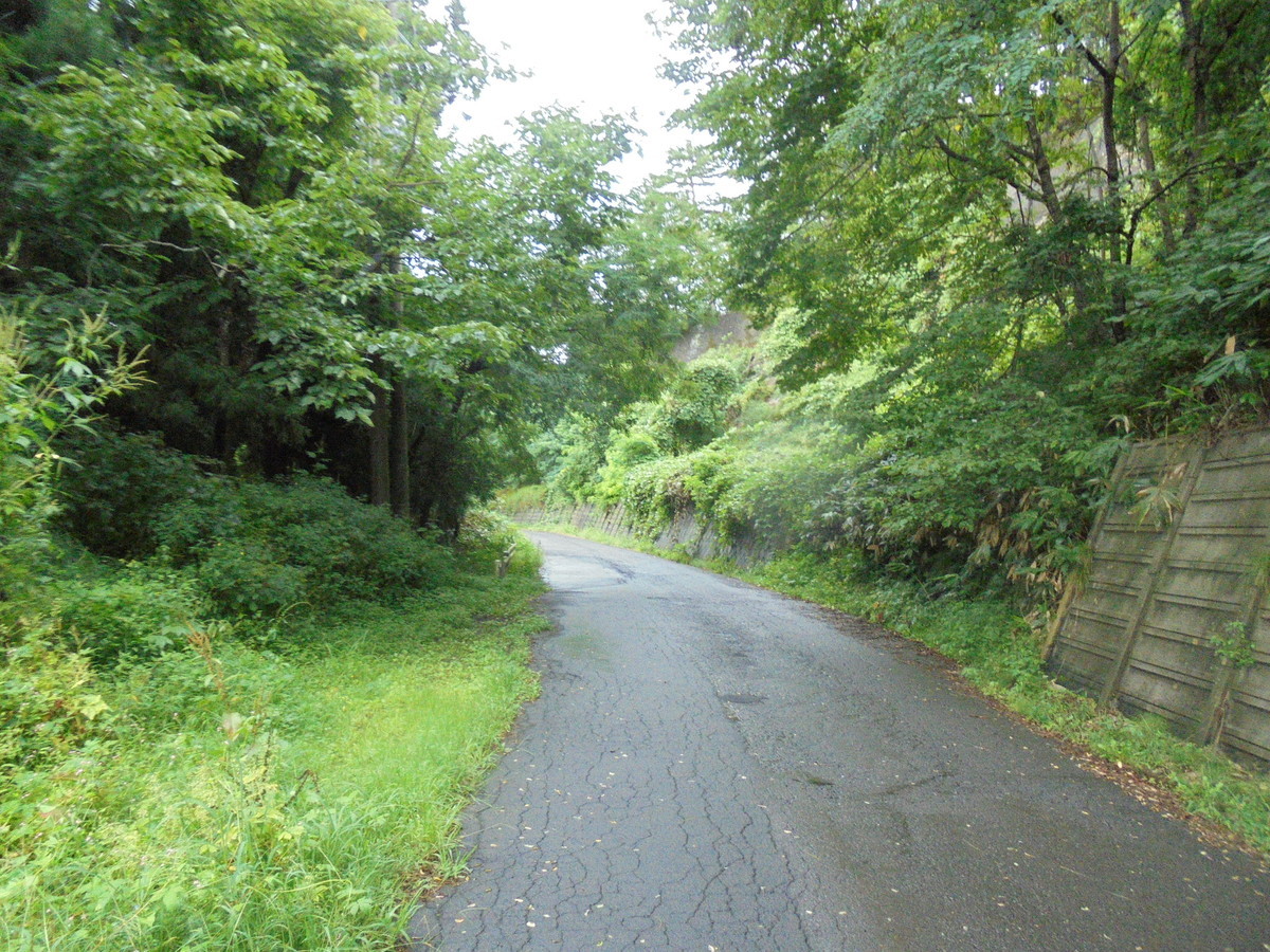 f:id:lupoGTI:20210904155938j:plain