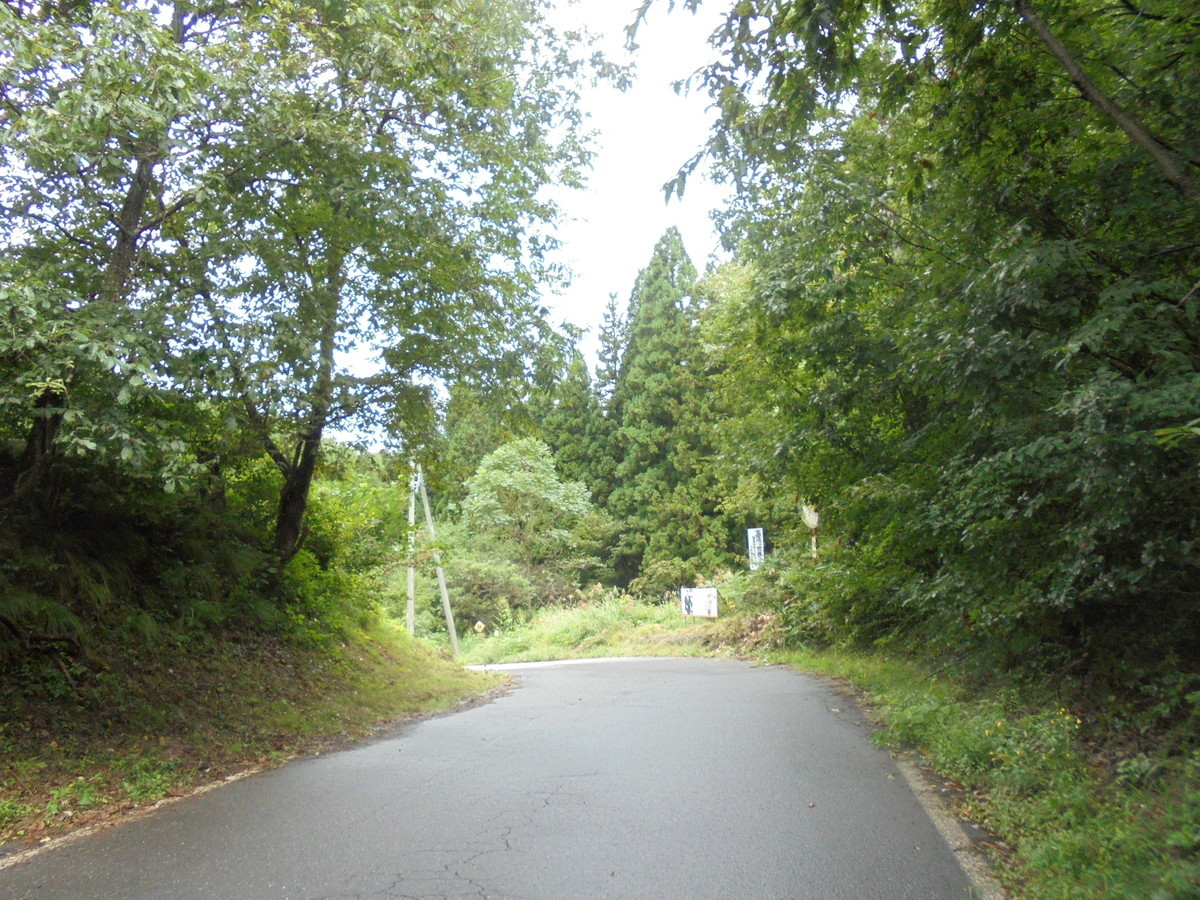 f:id:lupoGTI:20210904155952j:plain