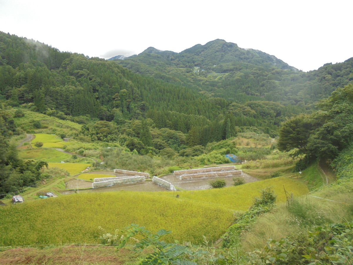 f:id:lupoGTI:20210904160002j:plain