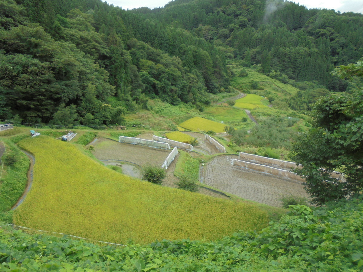 f:id:lupoGTI:20210904160010j:plain