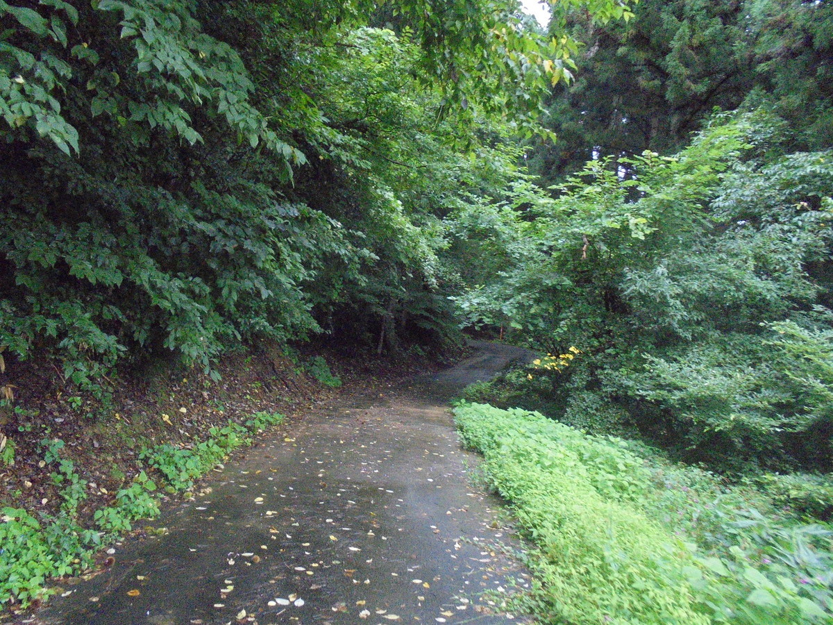 f:id:lupoGTI:20210904160039j:plain