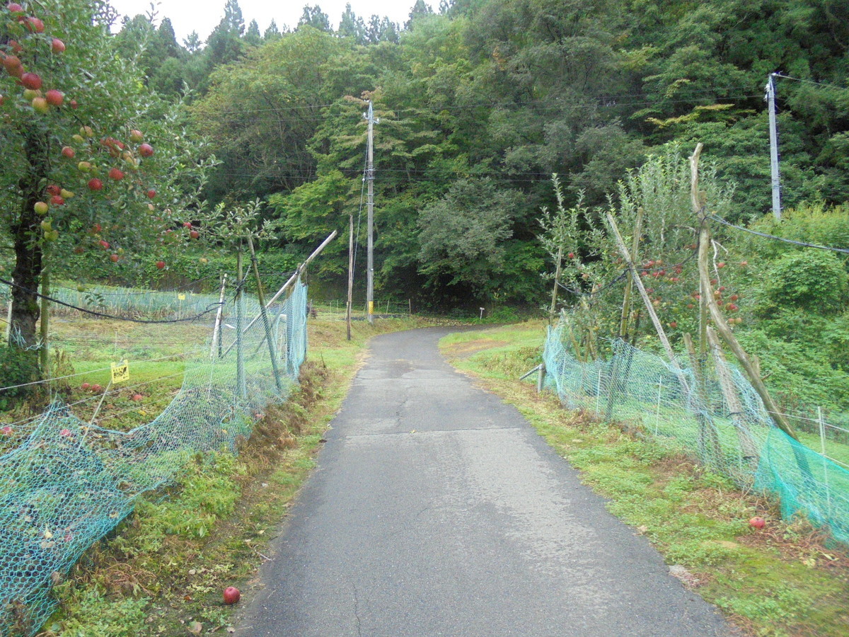 f:id:lupoGTI:20210904160057j:plain