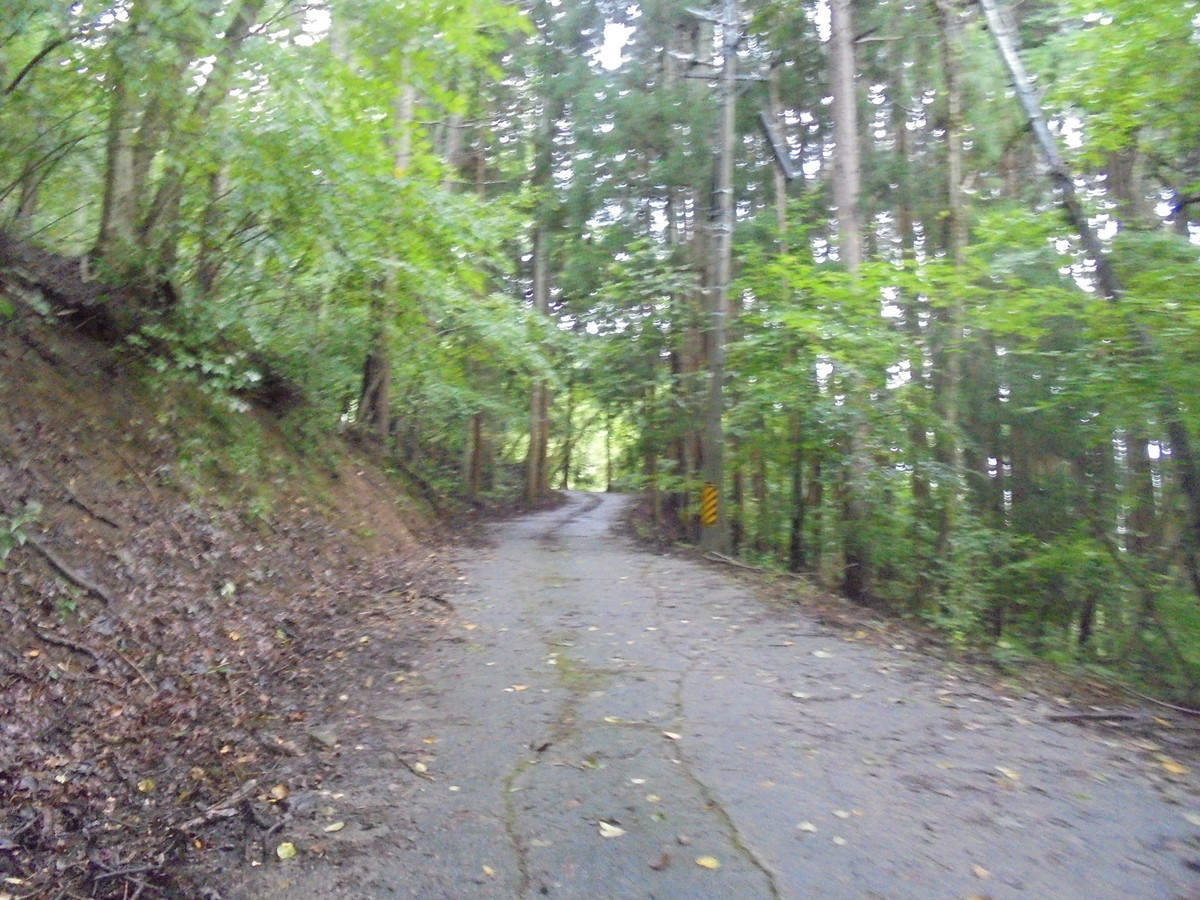 f:id:lupoGTI:20210904160103j:plain