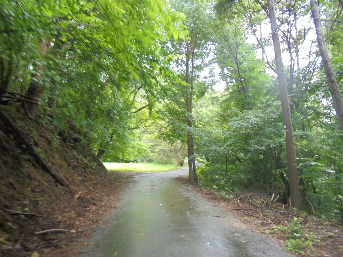 f:id:lupoGTI:20210904160113j:plain