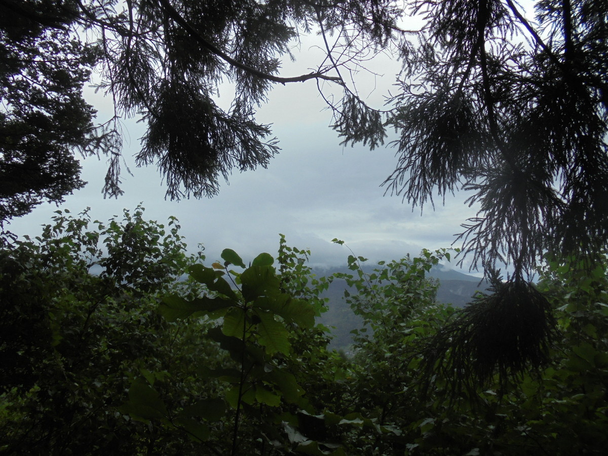 f:id:lupoGTI:20210904160121j:plain