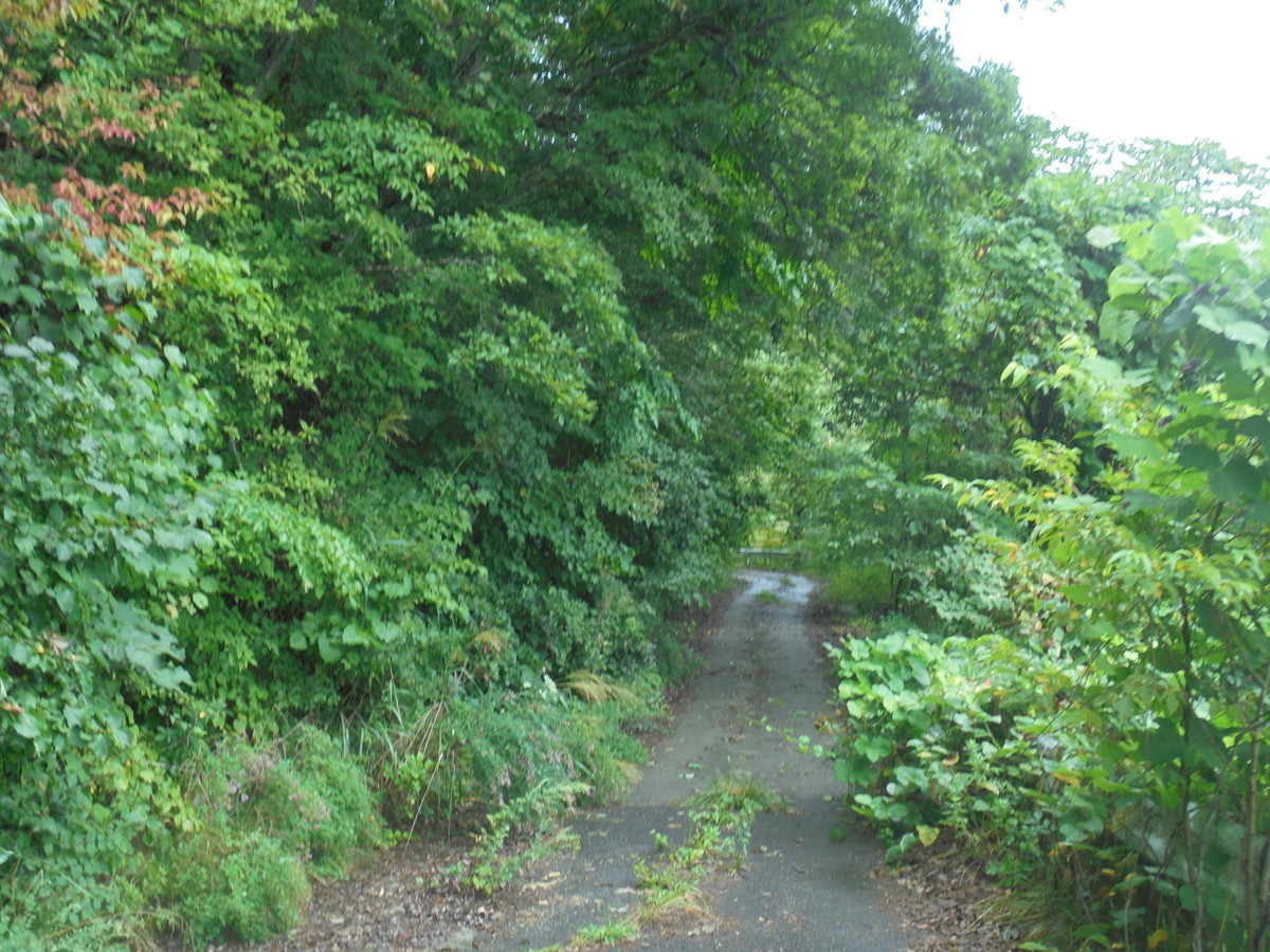 f:id:lupoGTI:20210904160159j:plain