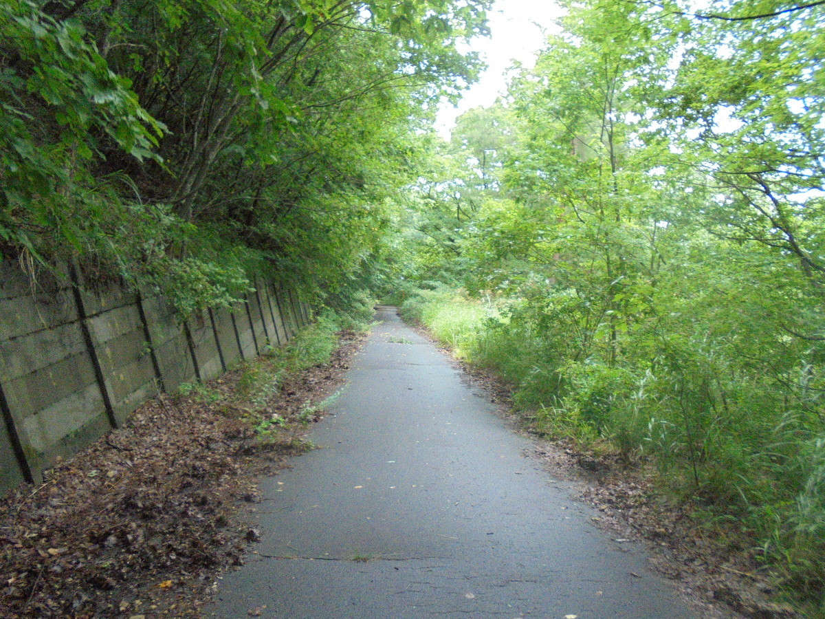 f:id:lupoGTI:20210904160209j:plain