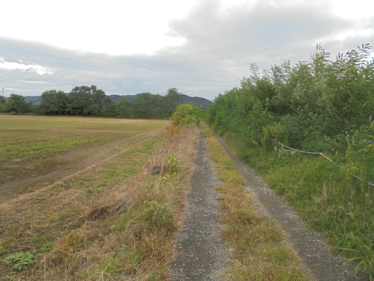 f:id:lupoGTI:20210904160310j:plain