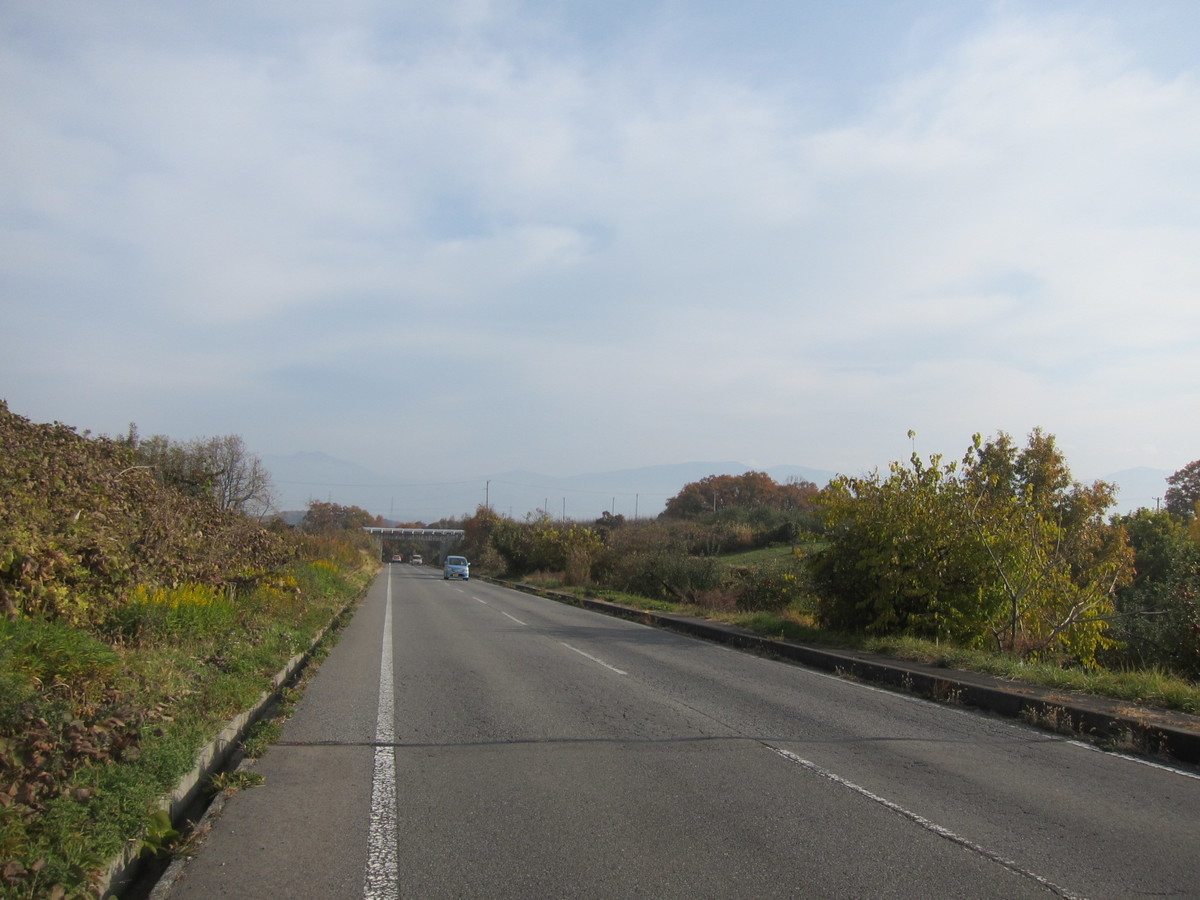 f:id:lupoGTI:20211121144808j:plain