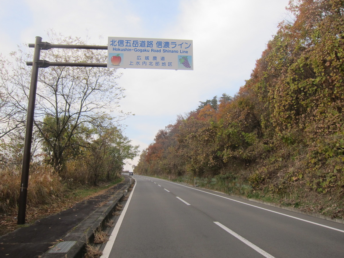 f:id:lupoGTI:20211121144812j:plain