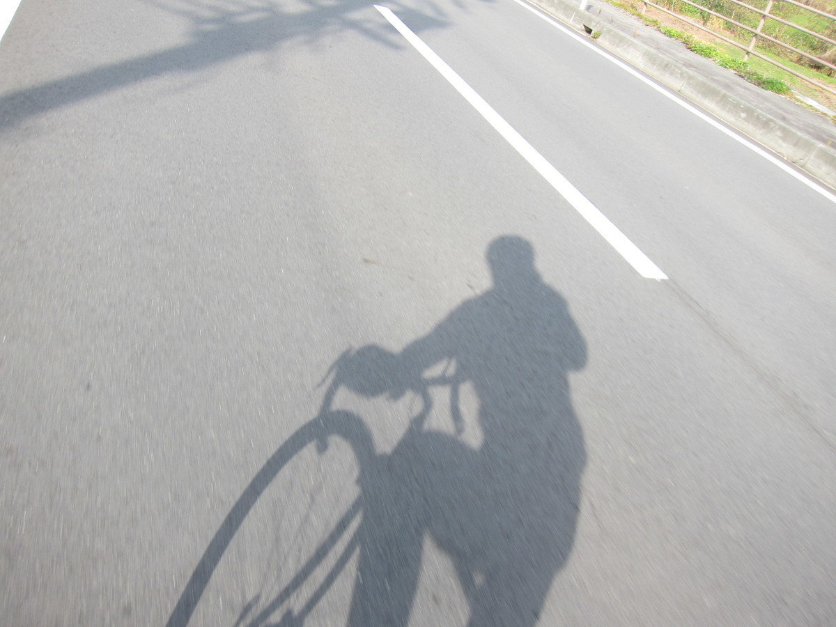 f:id:lupoGTI:20211121144821j:plain