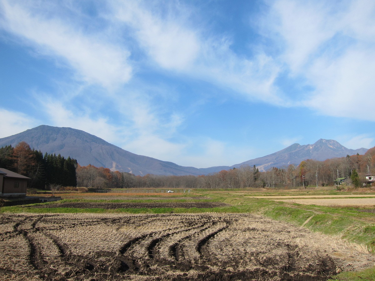 f:id:lupoGTI:20211121144849j:plain