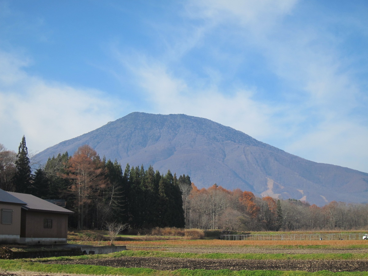 f:id:lupoGTI:20211121144859j:plain