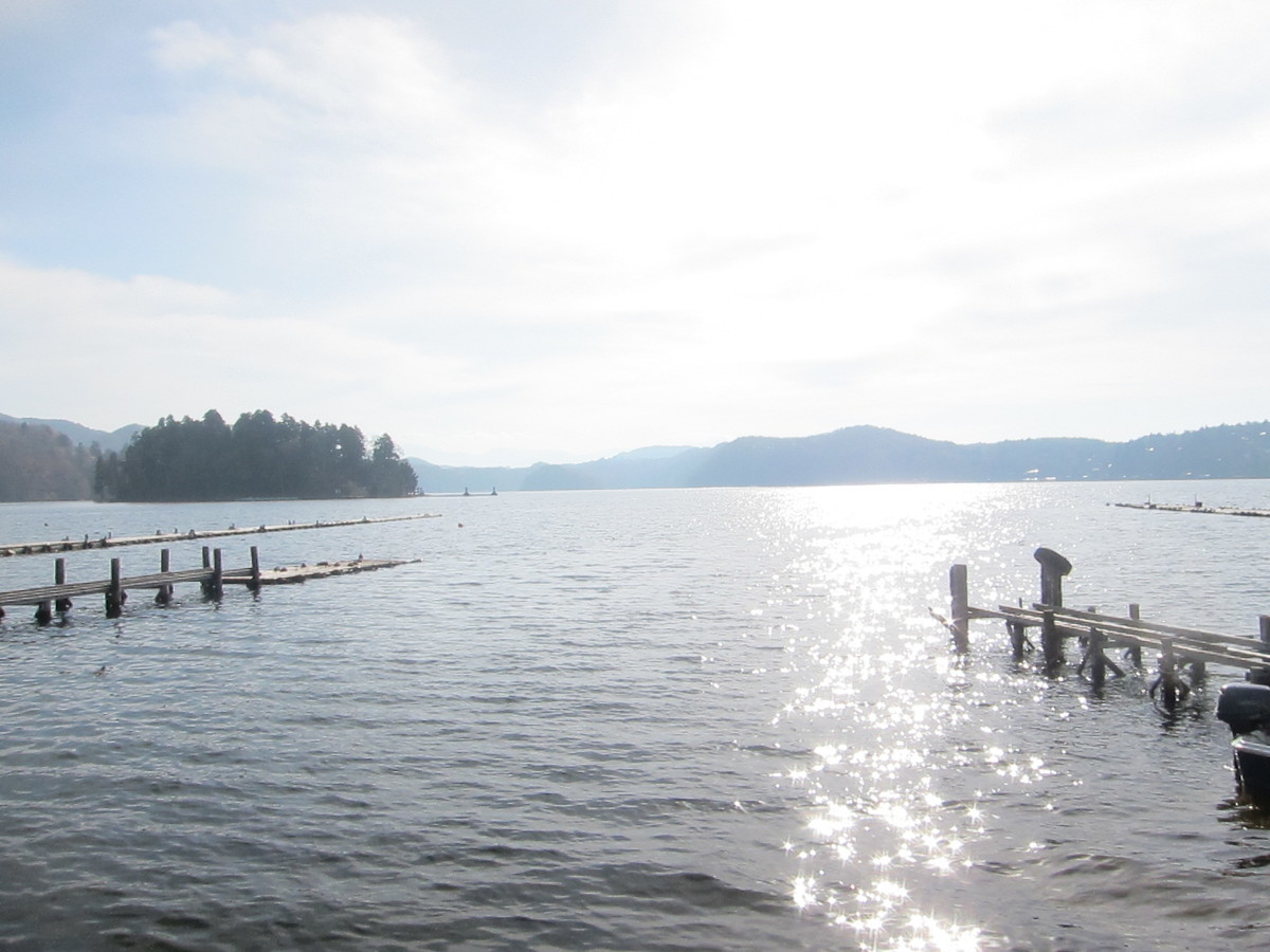 f:id:lupoGTI:20211121145629j:plain