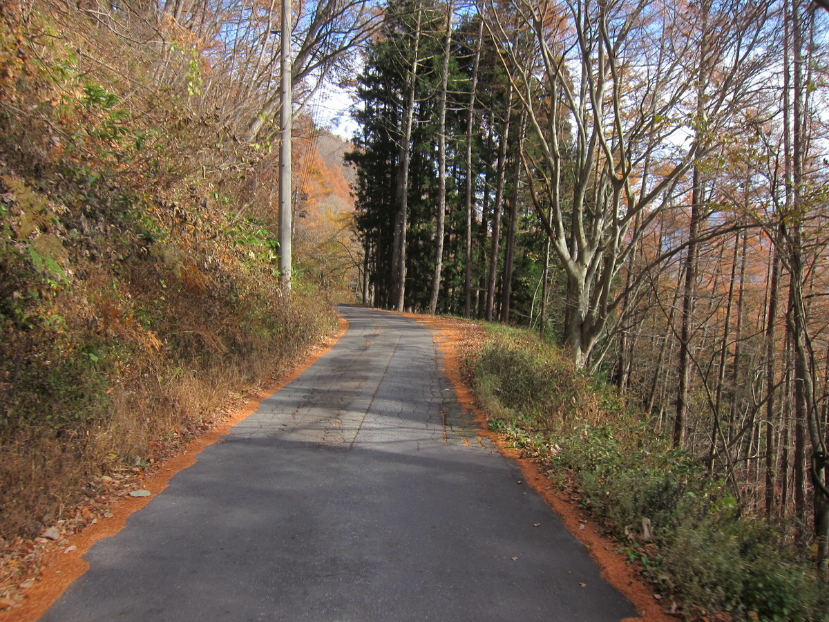 f:id:lupoGTI:20211121145648j:plain