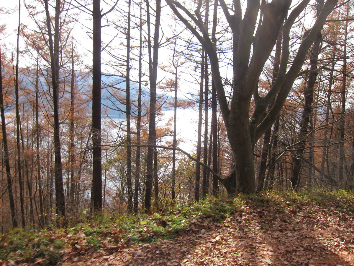 f:id:lupoGTI:20211121145655j:plain