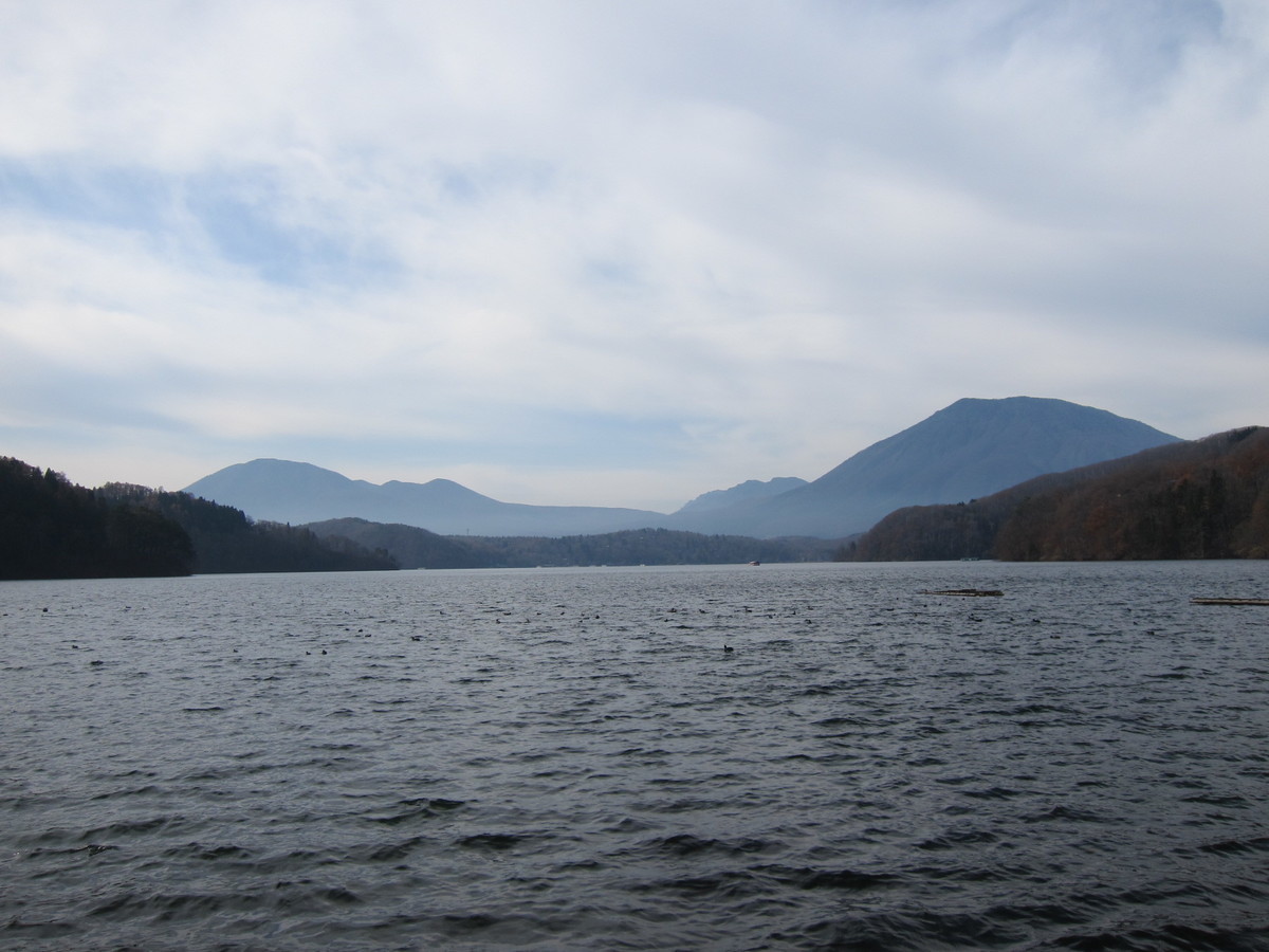 f:id:lupoGTI:20211121145703j:plain