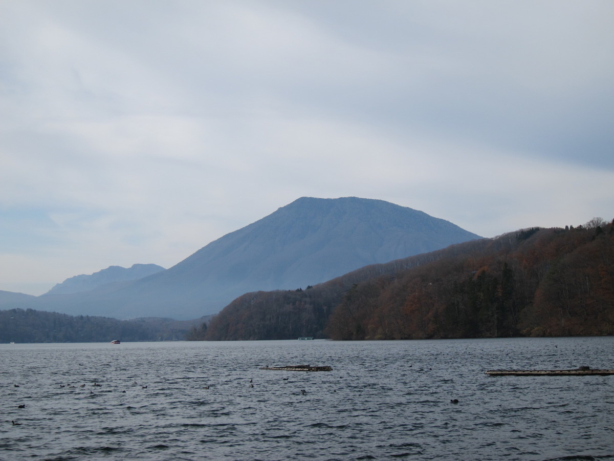 f:id:lupoGTI:20211121145711j:plain