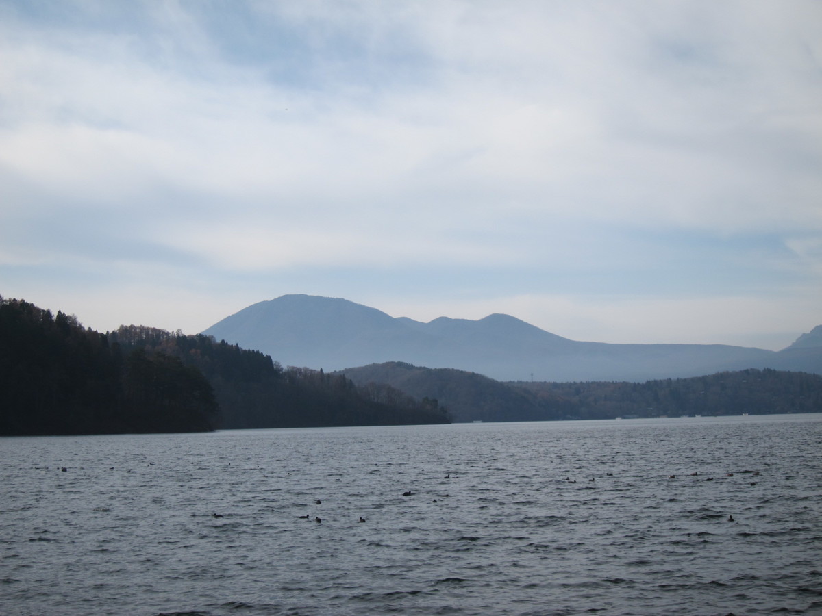 f:id:lupoGTI:20211121145735j:plain