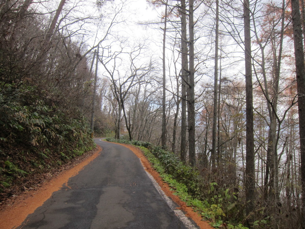 f:id:lupoGTI:20211121145803j:plain