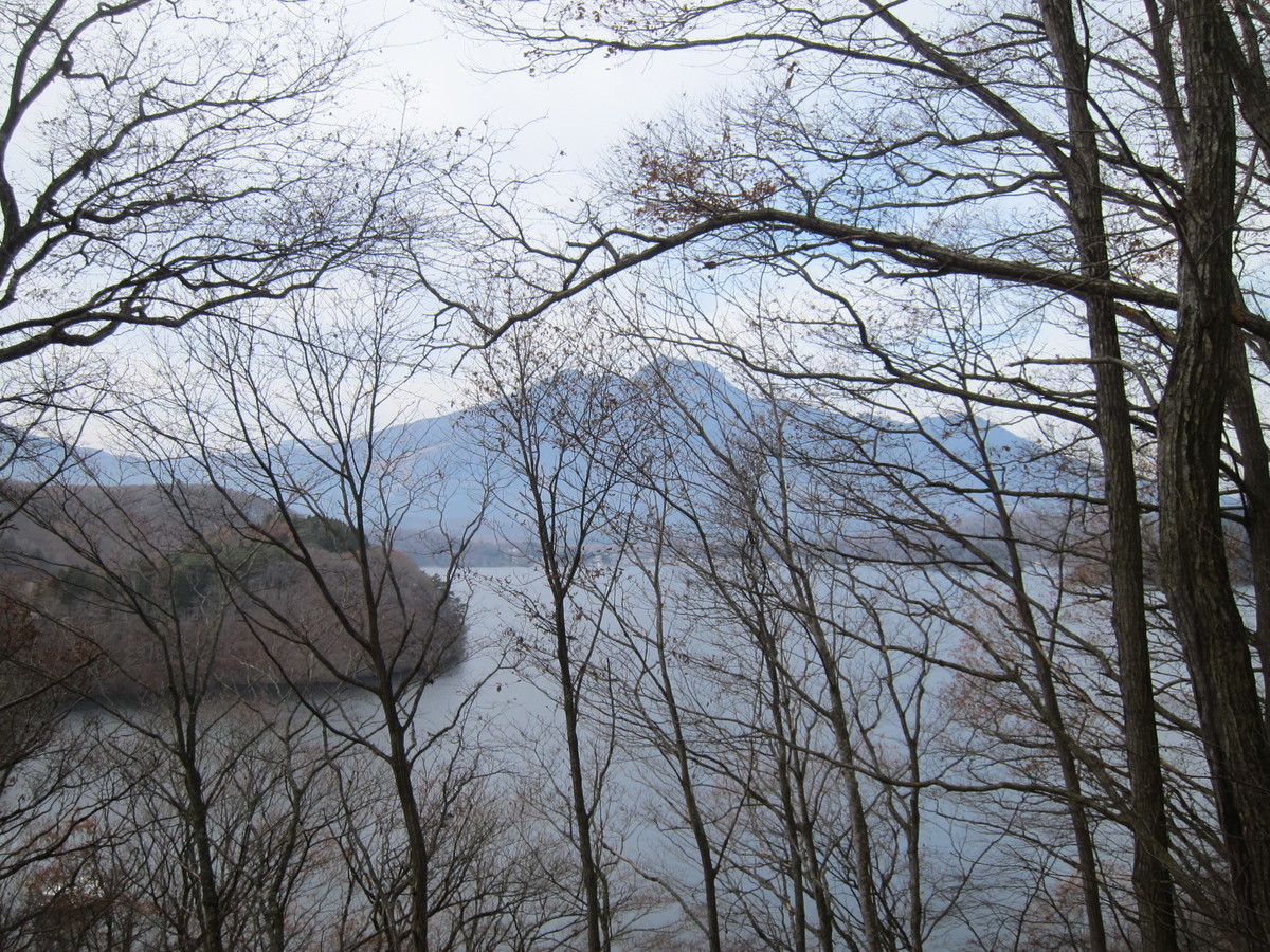 f:id:lupoGTI:20211121145816j:plain