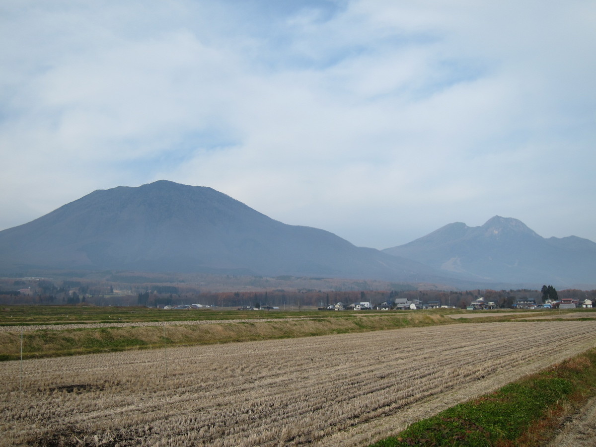 f:id:lupoGTI:20211121145855j:plain