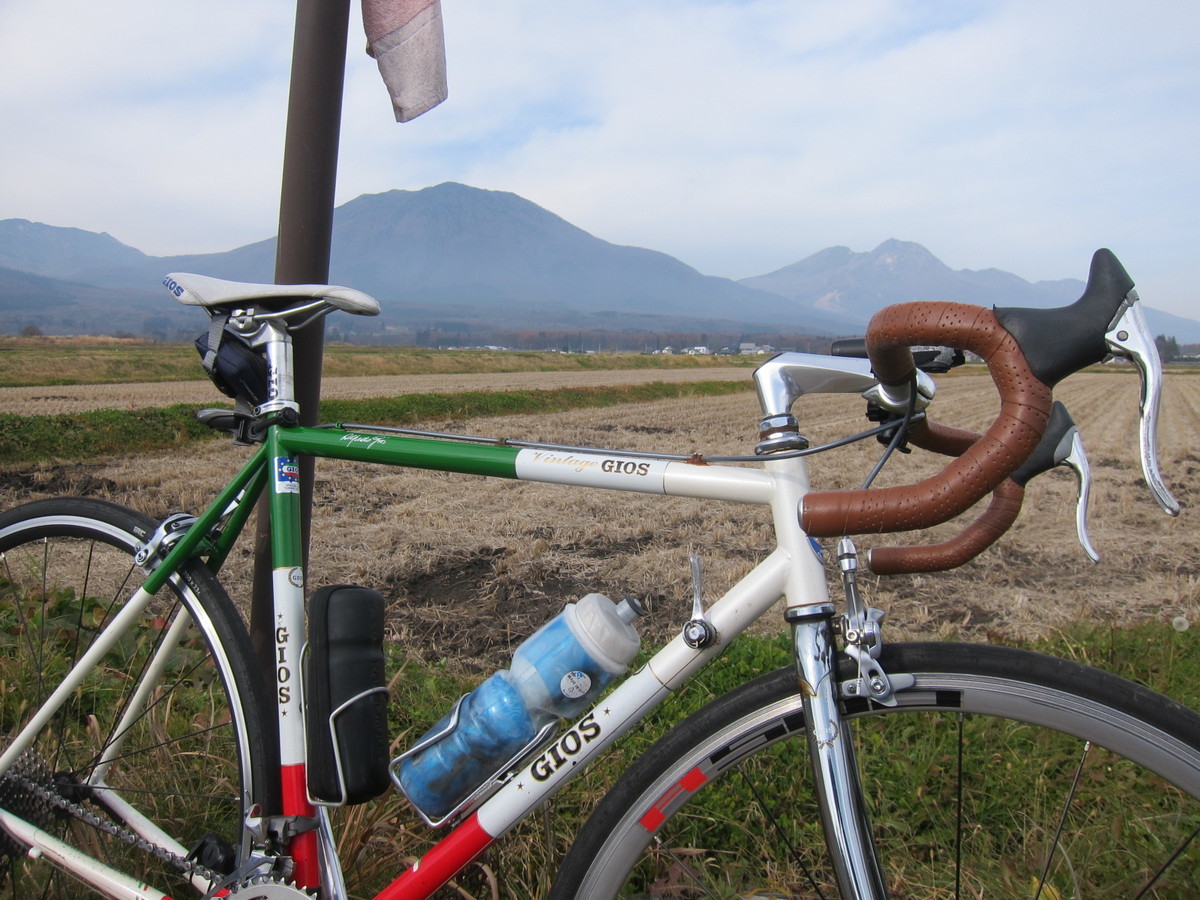 f:id:lupoGTI:20211121150203j:plain