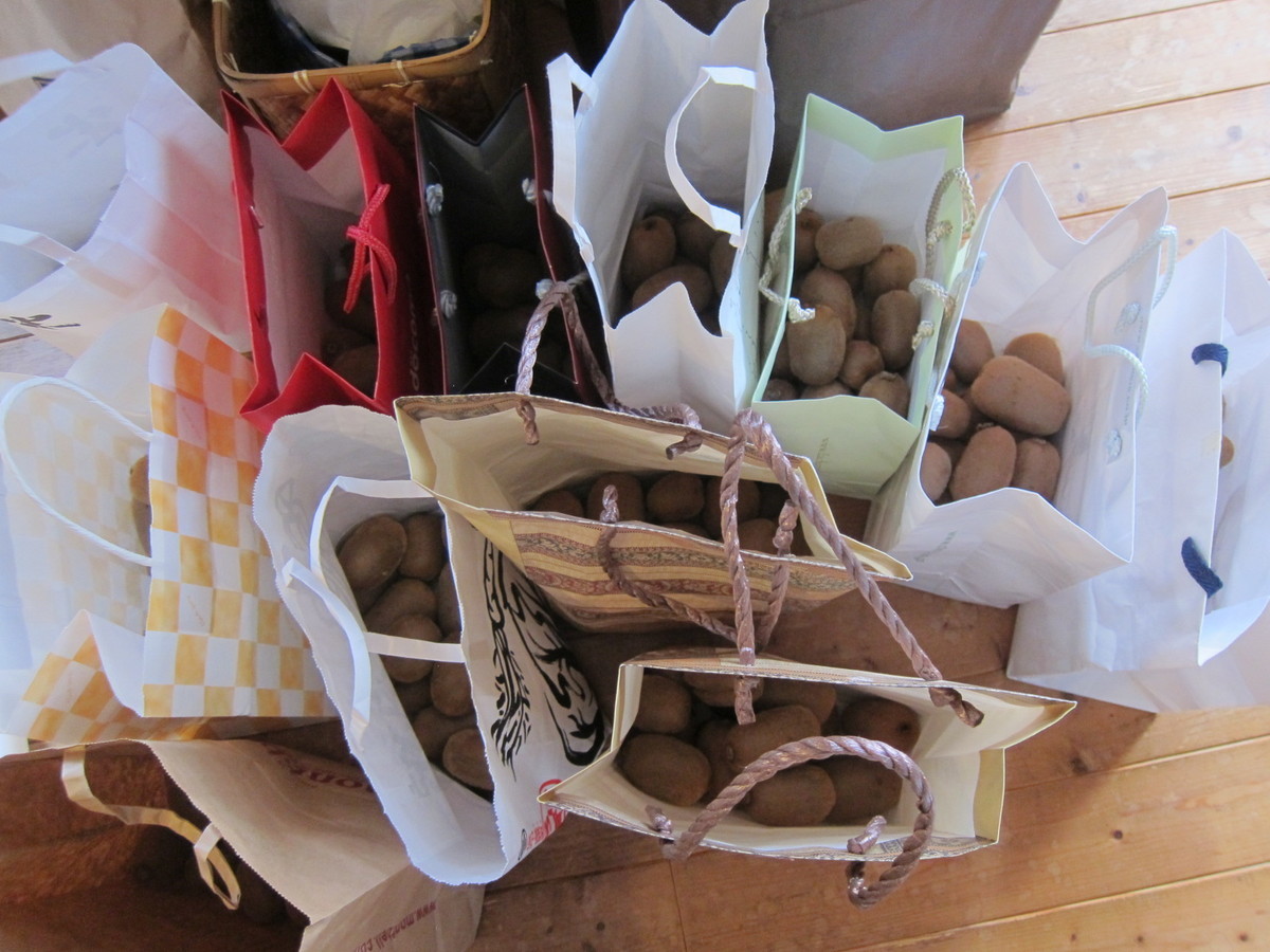 f:id:lupoGTI:20211121150702j:plain