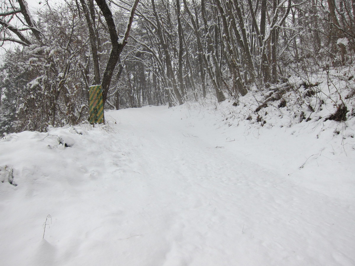 f:id:lupoGTI:20211219152803j:plain