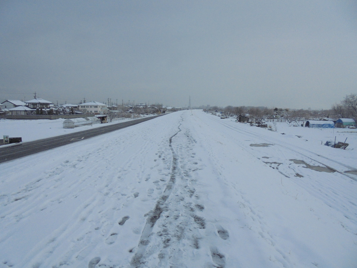 f:id:lupoGTI:20220211144527j:plain