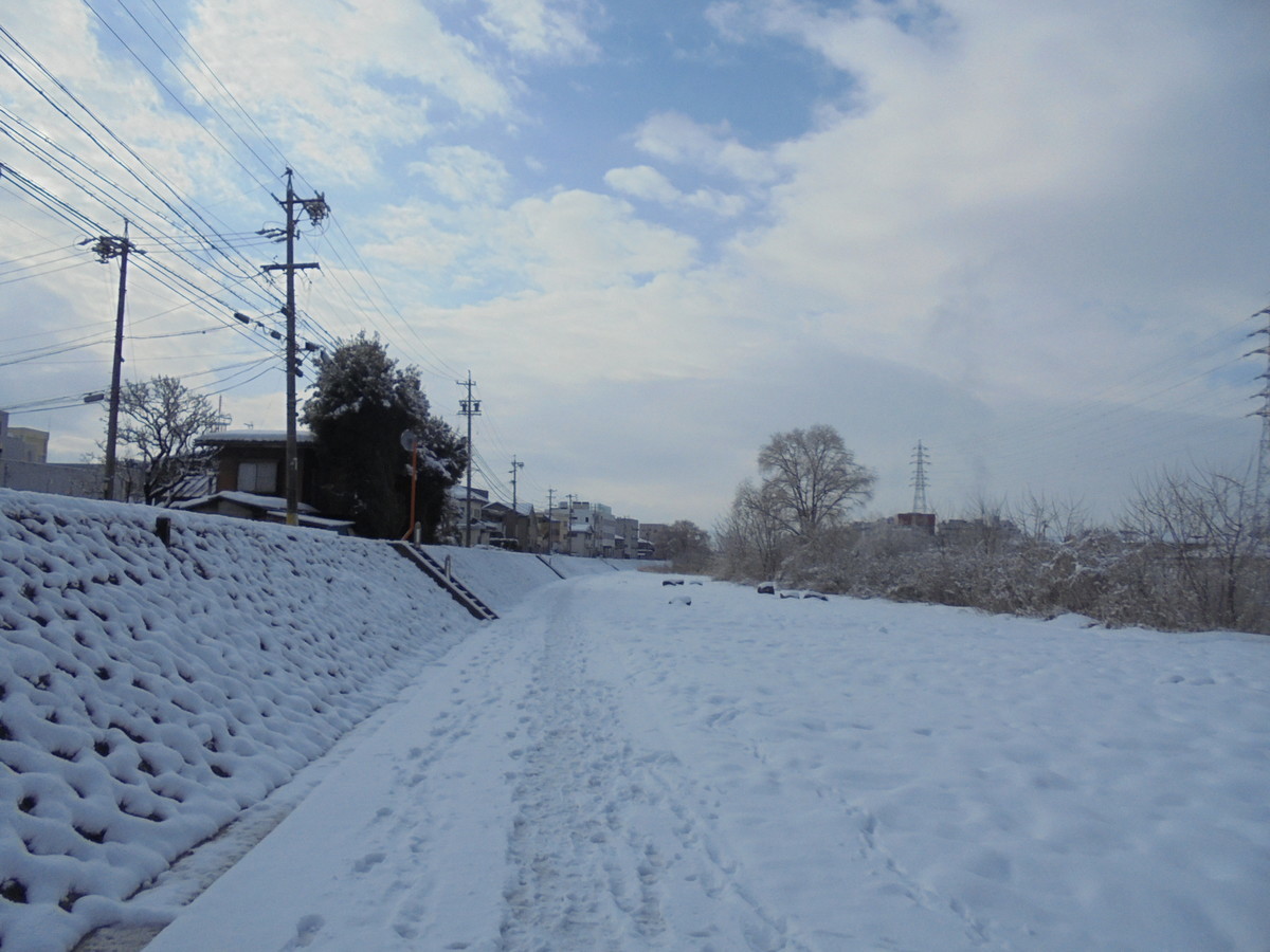 f:id:lupoGTI:20220211144732j:plain