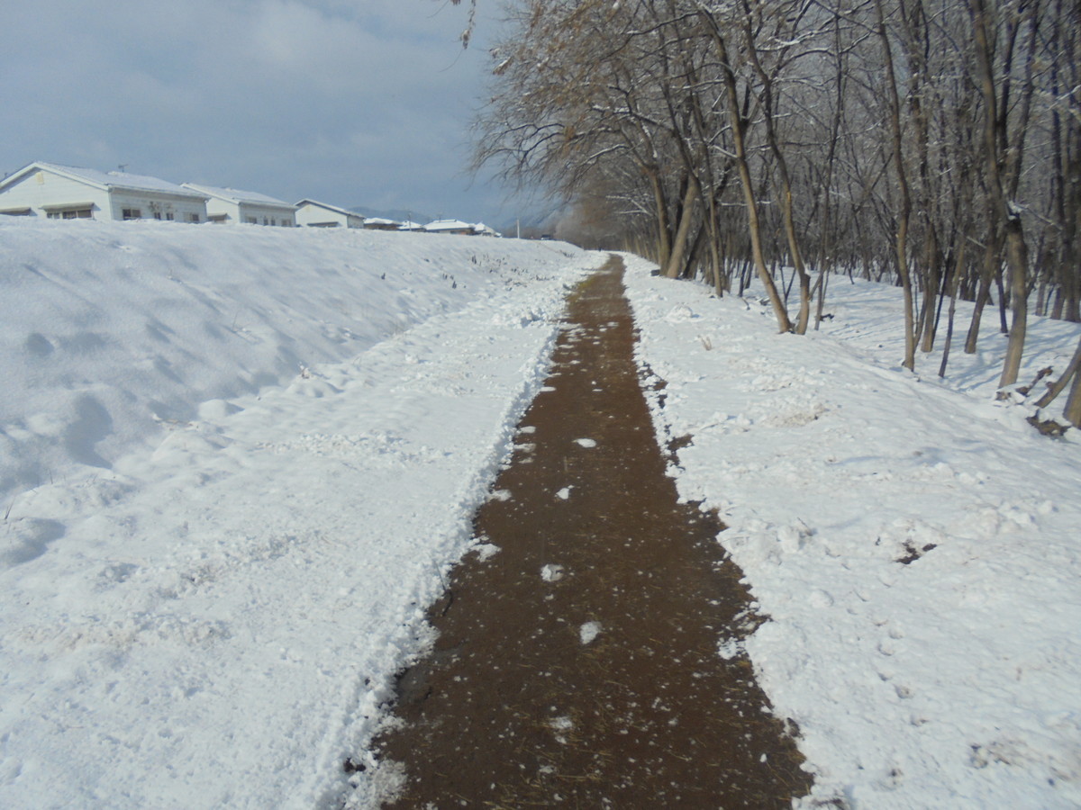 f:id:lupoGTI:20220211144921j:plain