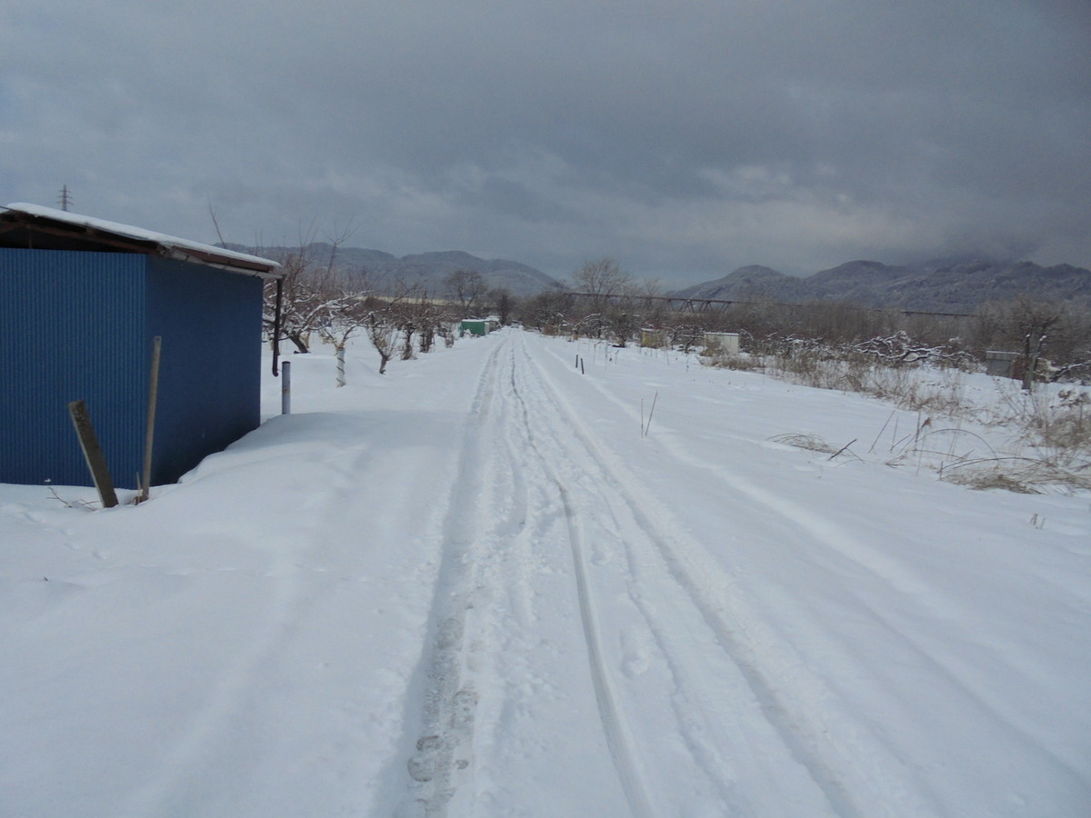 f:id:lupoGTI:20220211144925j:plain