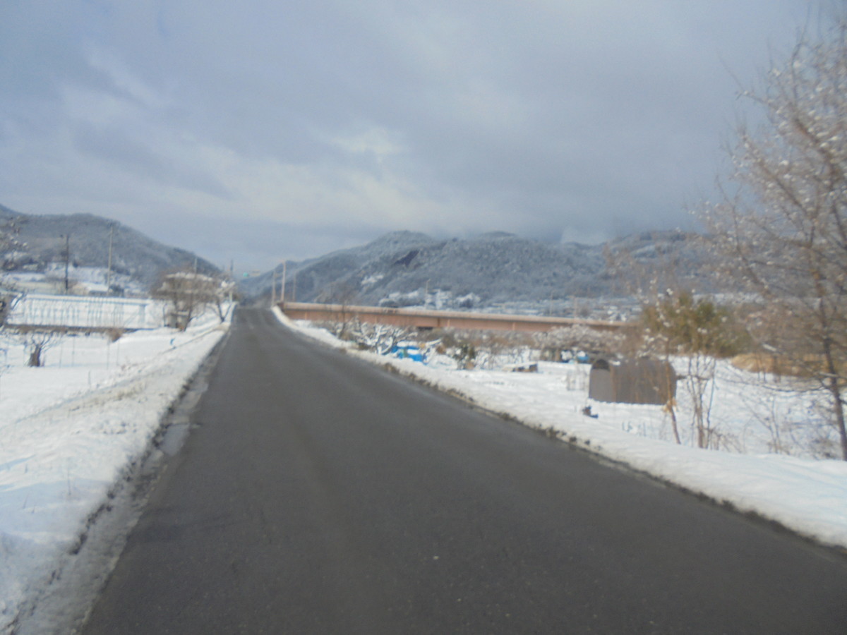 f:id:lupoGTI:20220211144930j:plain