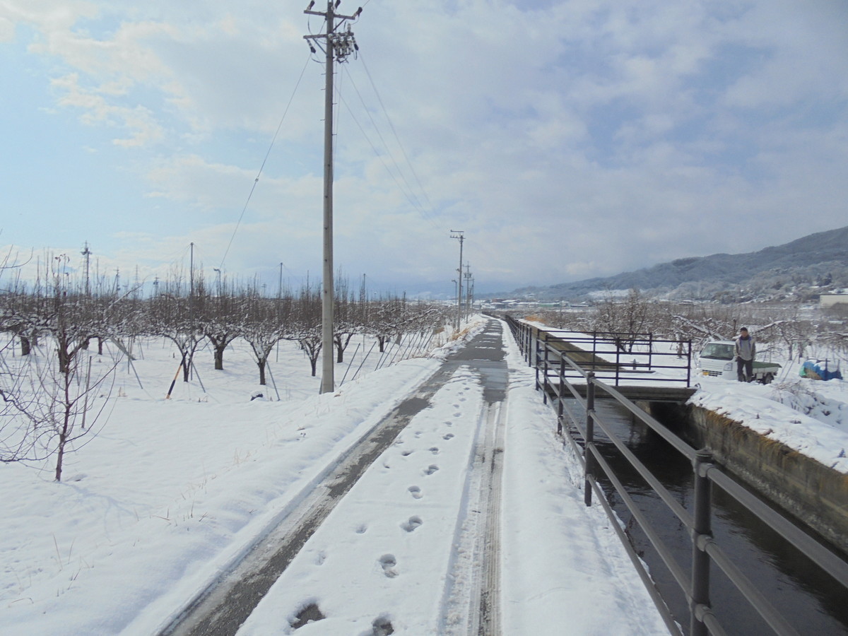 f:id:lupoGTI:20220211144936j:plain