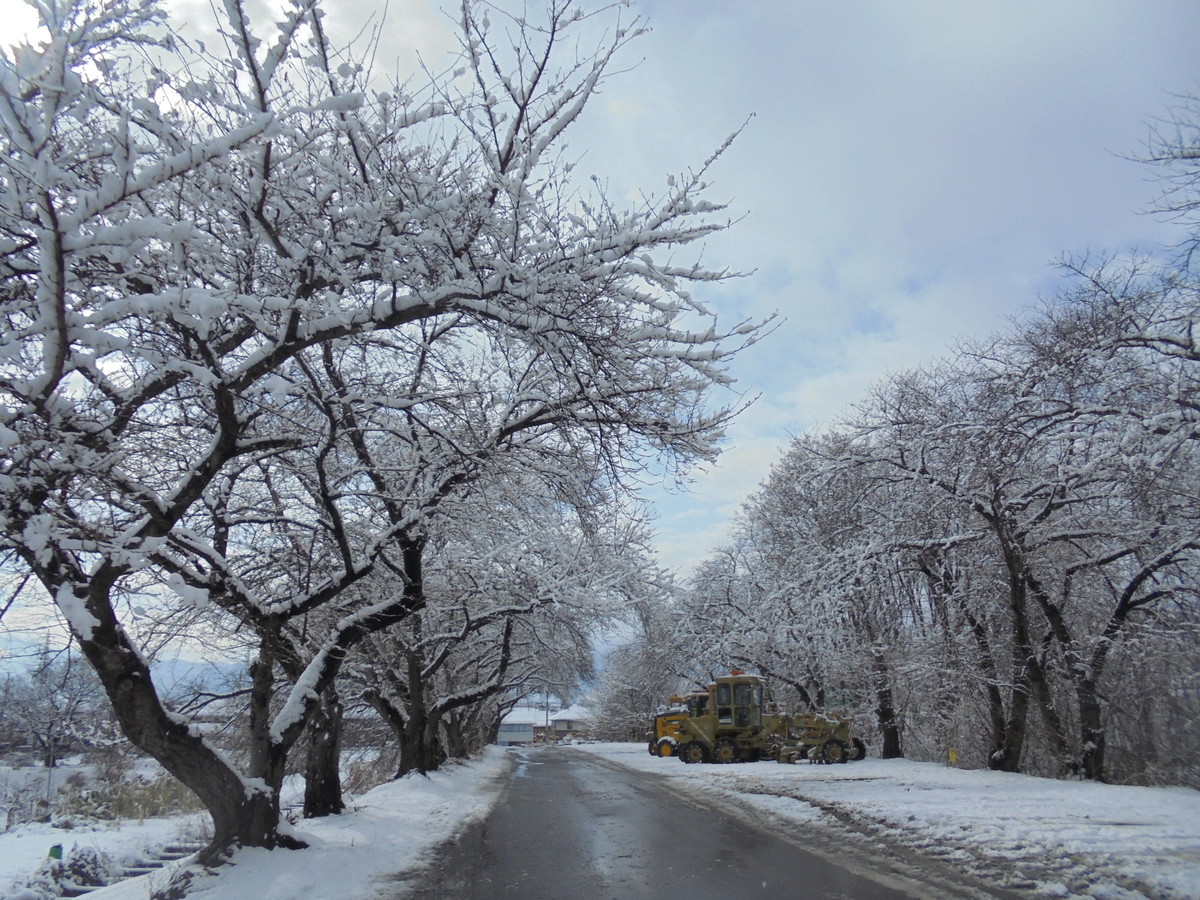 f:id:lupoGTI:20220211144941j:plain